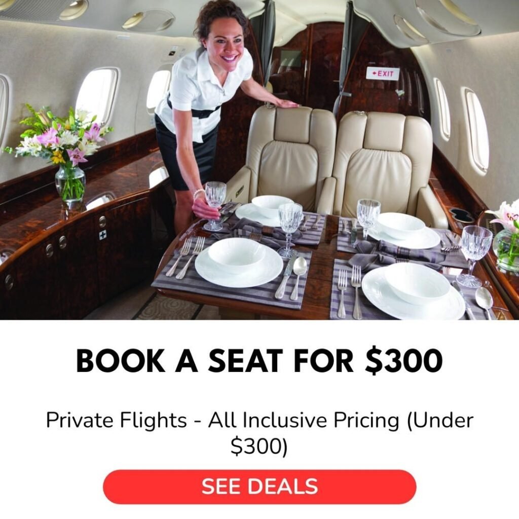 Flying High Made Affordable: How to Access Private Jets Without Breaking the Bank ✈️💼